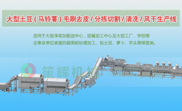 津南连续式土豆去皮清洗切割风干生产线